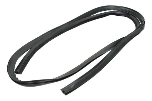 Garnitura, parbriz BLIC 5703-04-6037595Q