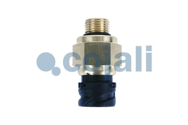 Senzor COJALI 2260754