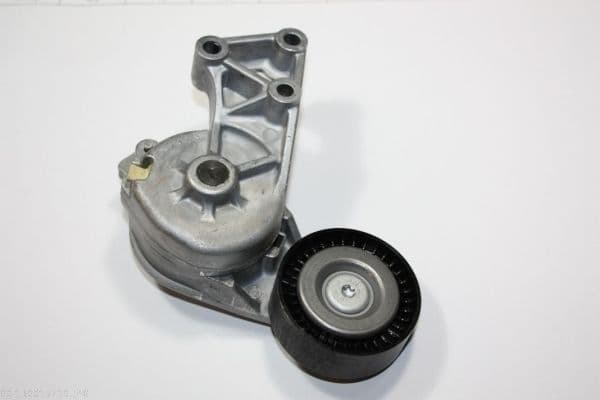 intinzator,curea transmisie AUTOMEGA 130015710