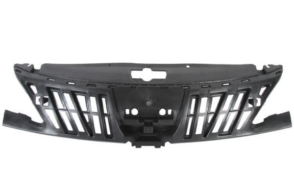 Grila radiator BLIC 6502-07-5514991P