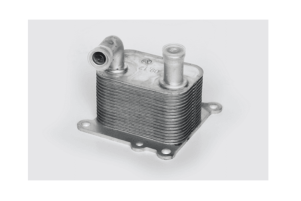 Radiator ulei, ulei motor ASAM AUTOMOTIVE 73454
