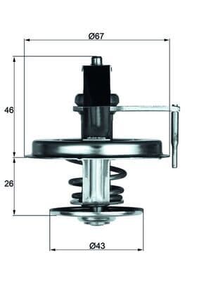 termostat,lichid racire MAHLE BEHR TX 22 84D