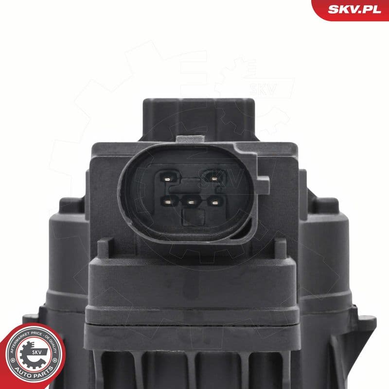 Supapa EGR ESEN SKV 14SKV297