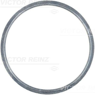 Garnitura, chiulasa REINZ 61-23410-00