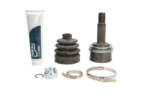 Set articulatie, planetara PASCAL G10567PC