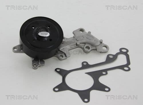 Pompă de apă, răcire motor TRISCAN 8600 13018