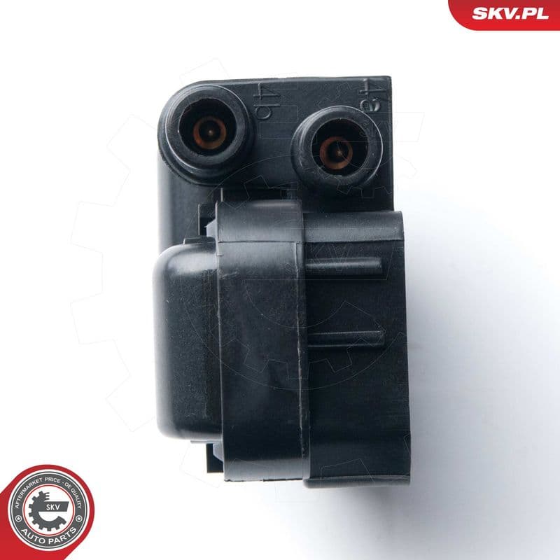 bobina de inductie ESEN SKV 03SKV221