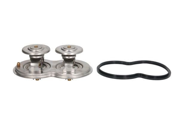 termostat,lichid racire THERMOTEC D2SC013TT