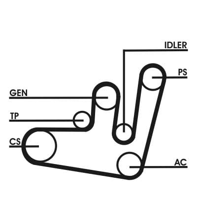 Set curea transmisie cu caneluri CONTITECH 6PK1660D1