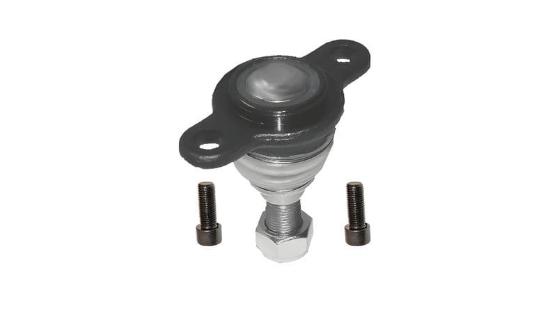 Pivot SKF VKDS 311024