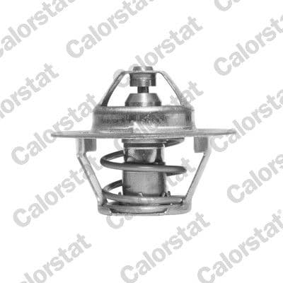 termostat,lichid racire CALORSTAT by Vernet TH4046.86J