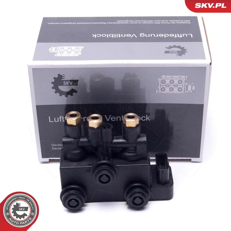 supapa,sistem supraalimentare ESEN SKV 93SKV816