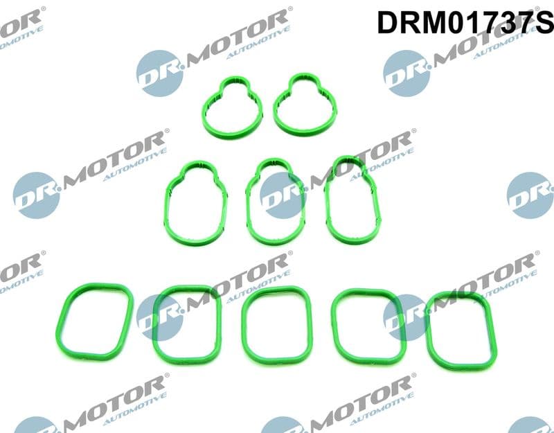 Set garnituri, galerie admisie Dr.Motor Automotive DRM01737S