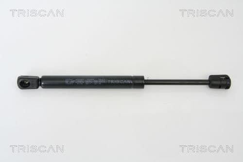 Amortizor portbagaj TRISCAN 8710 14240