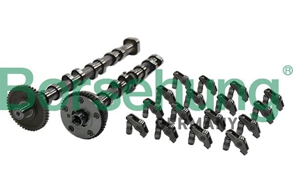 Set ax cu came BORSEHUNG B19173