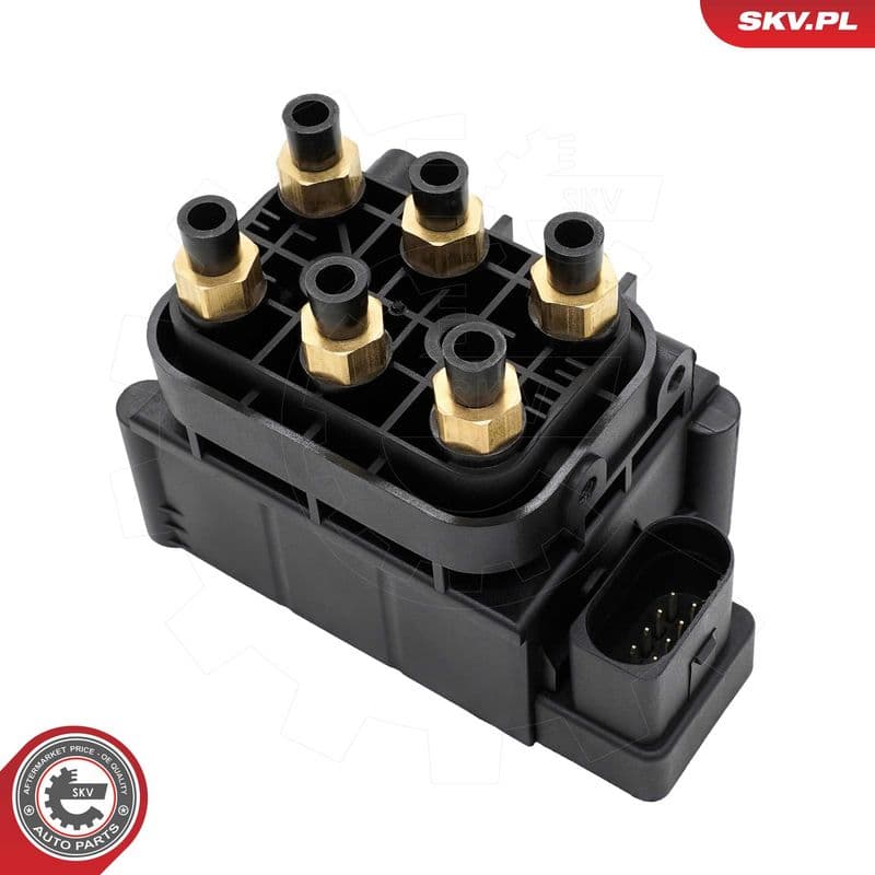 supapa,sistem supraalimentare ESEN SKV 97SKV315