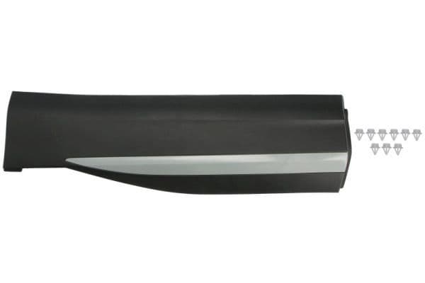 Elemente decorative/protectie, portiera BLIC 5703-04-7802575P