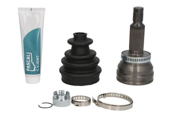 Set articulatie, planetara PASCAL G10573PC