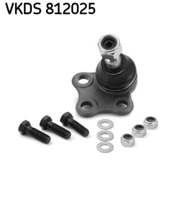 Pivot SKF VKDS 812025