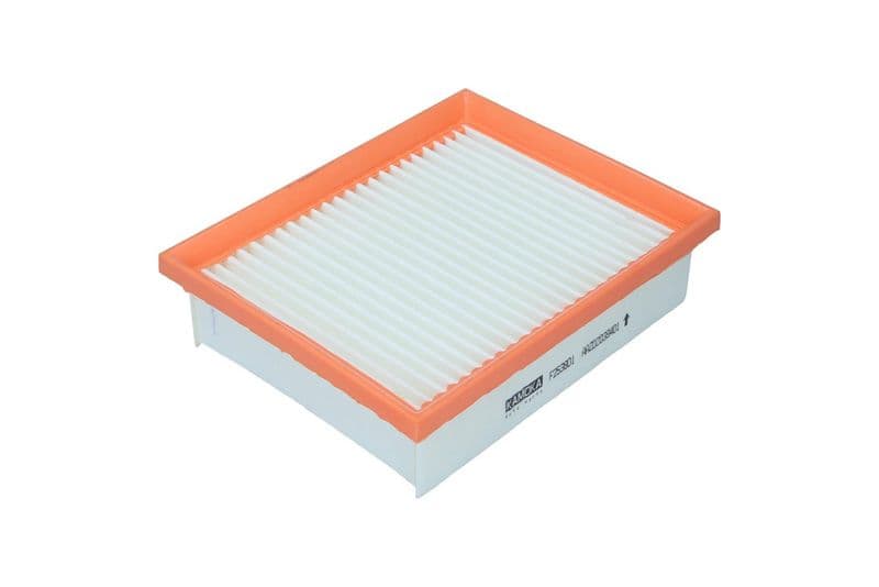 Filtru aer KAMOKA F253801