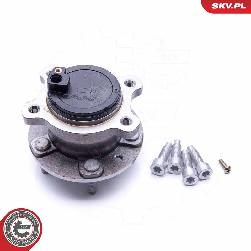 Set rulment roata ESEN SKV 29SKV251