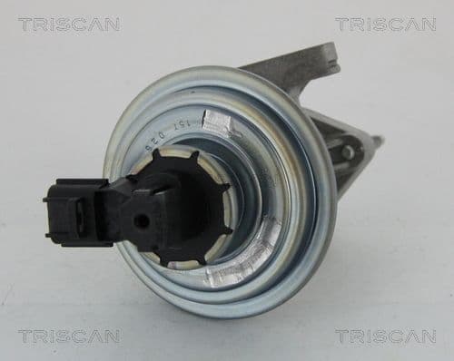 Supapa EGR TRISCAN 8813 16045