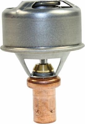 termostat,lichid racire METZGER AUTOTEILE 4006224