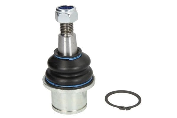 Pivot REINHOCH RH03-5009
