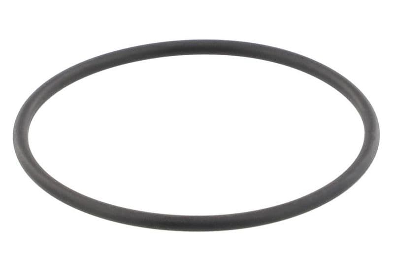 Garnitura termostat TOPRAN 202 327