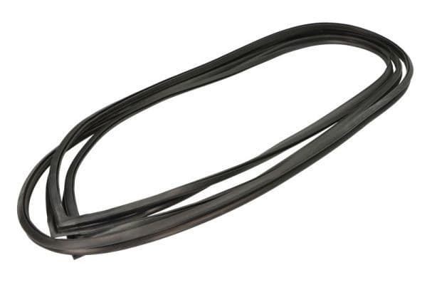 Garnitura, parbriz BLIC 5703-04-6038015Q