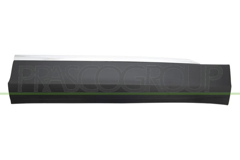 Elemente decorative/protectie, portiera PRASCO VG8101413