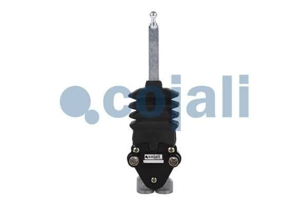 Supapa perna aer COJALI 2214509