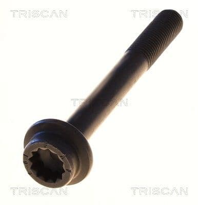 Bolturi fixare, brat suspensie TRISCAN 8501 0522