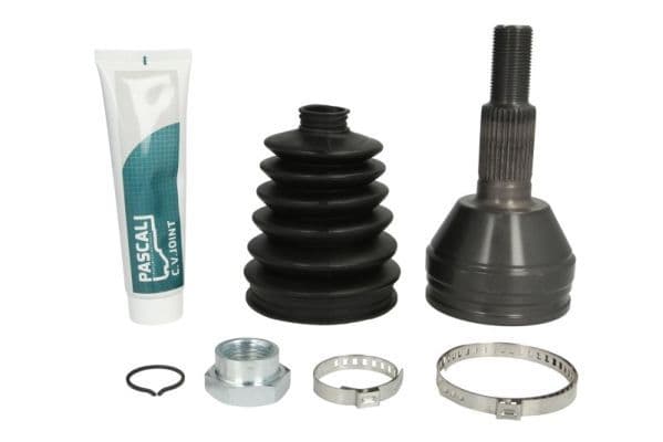 Set articulatie, planetara PASCAL G10023PC