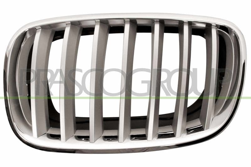 Grila radiator PRASCO BM8222014