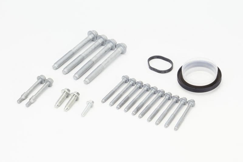 Set șuruburi, carcasa de distribuție CONTINENTAL CTAM MS54