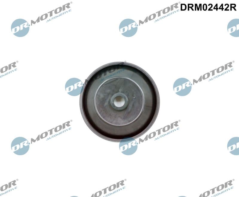 Supapă, comandă aer (aer aspirație) Dr.Motor Automotive DRM02442R
