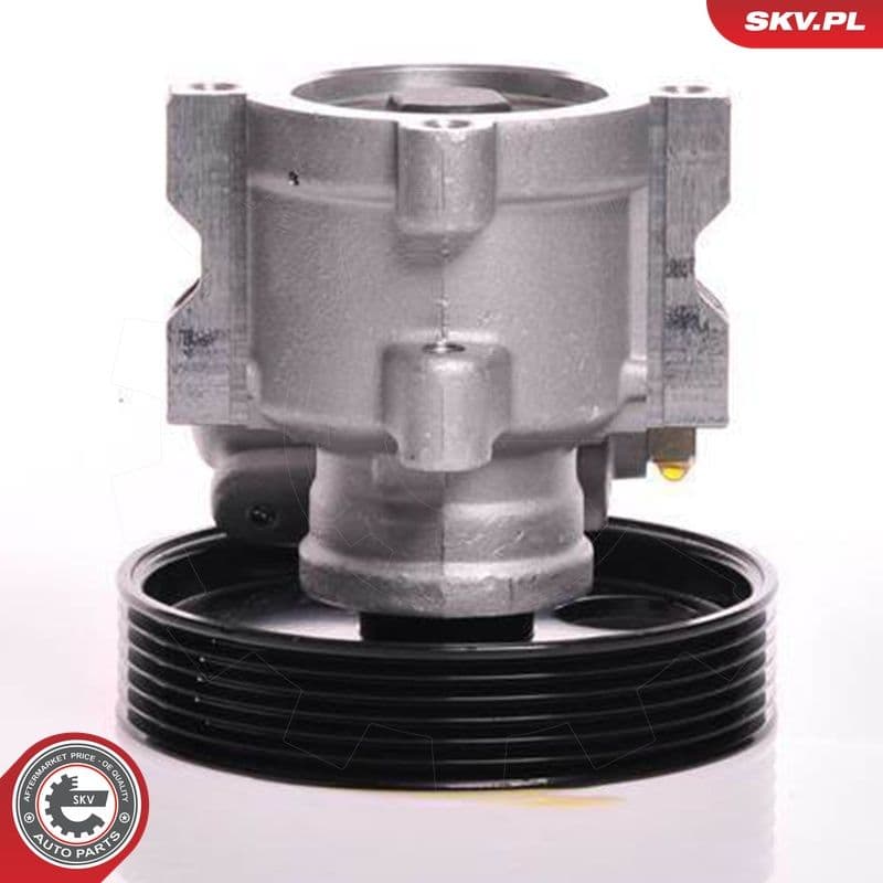 Pompa hidraulica, sistem de directie ESEN SKV 10SKV013