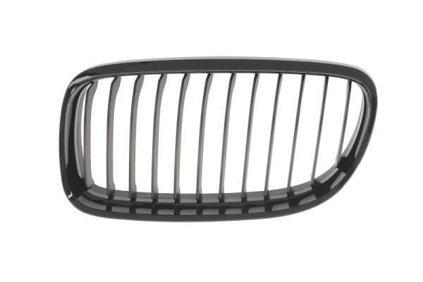 Grila radiator BLIC 6502-07-0062991BP