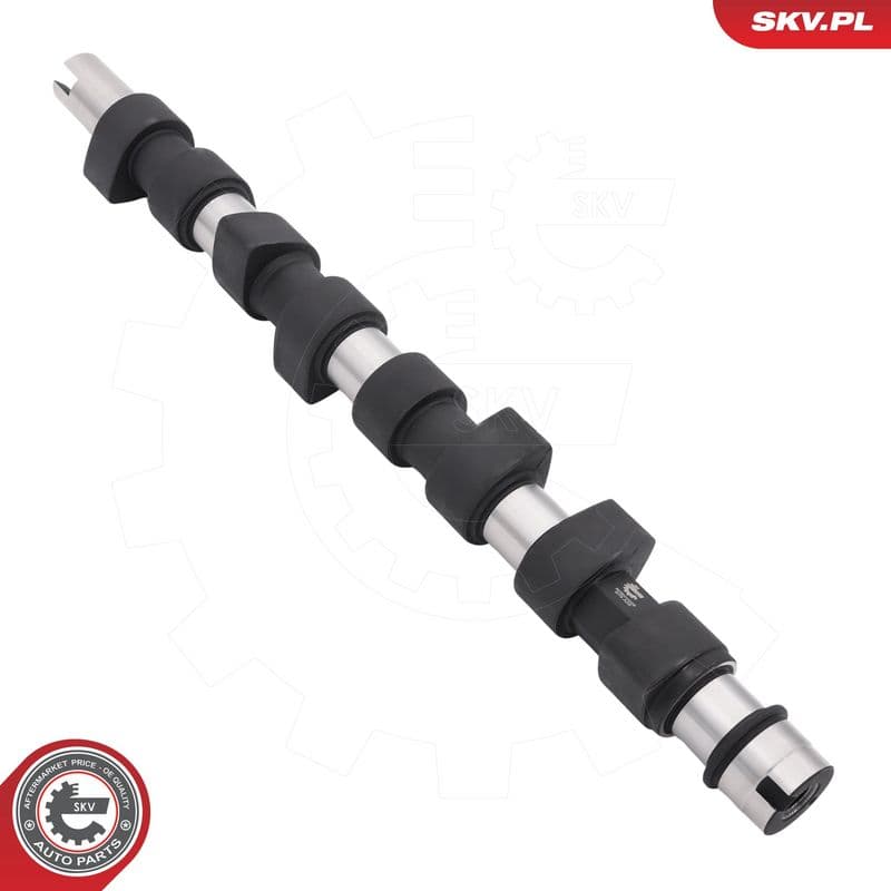 Ax cu came ESEN SKV 80SKV028