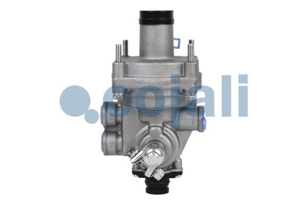 Releu, ALB COJALI 2220330