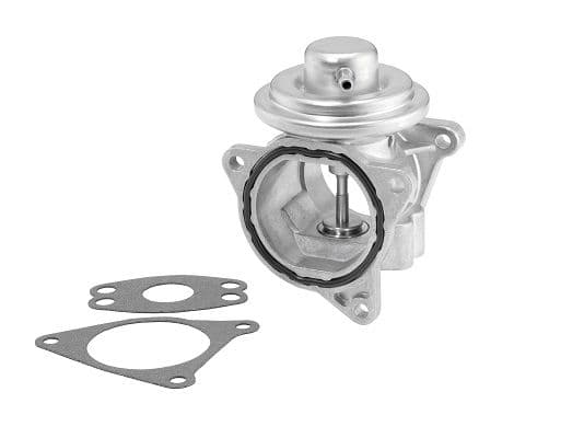 Supapa EGR BorgWarner 7496D
