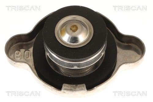 buson,radiator TRISCAN 8610 4
