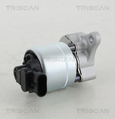 Supapa EGR TRISCAN 8813 28008