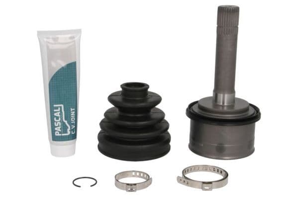 Set articulatie, planetara PASCAL G10309PC