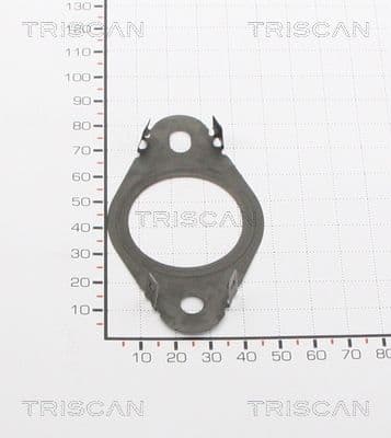 Garnitura TRISCAN 8813 99120