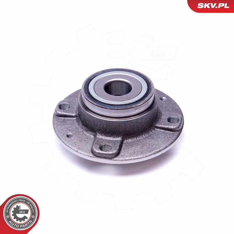 Set rulment roata ESEN SKV 29SKV348