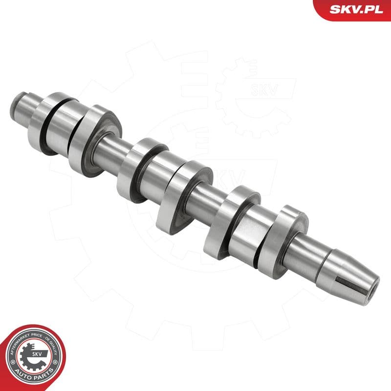 Ax cu came ESEN SKV 80SKV030