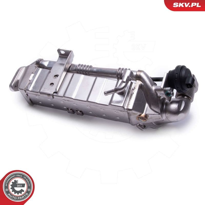 Supapa EGR ESEN SKV 14SKV239