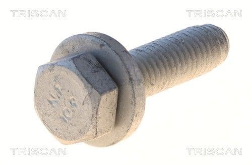 Bolturi fixare, brat suspensie TRISCAN 8501 0539